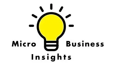 Micro Business Insights, LLC
